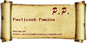 Pavlicsek Pamina névjegykártya